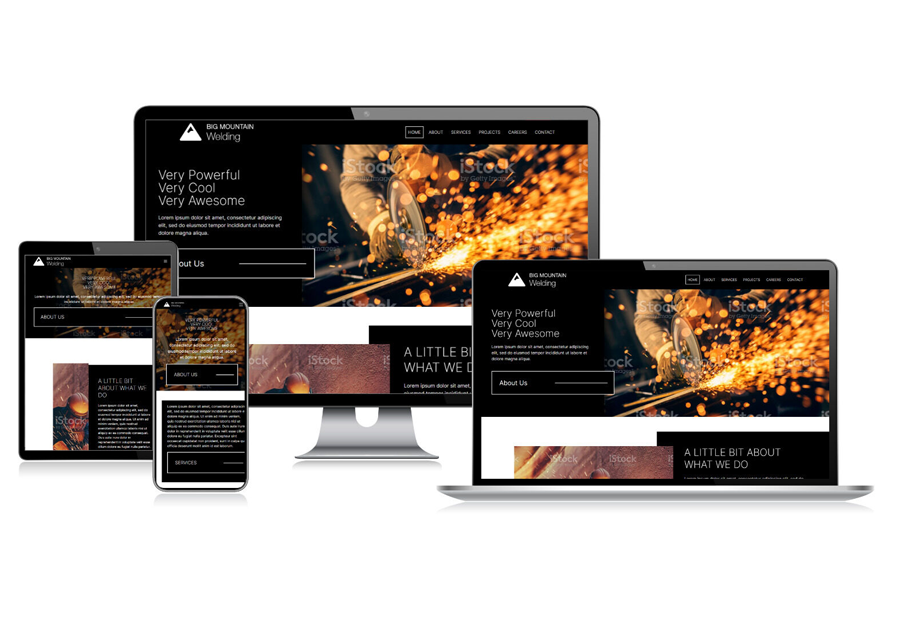Www.pasaft created website design and built website for Moodja